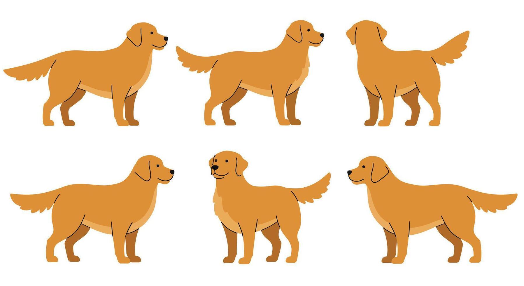 Golden retriever dog illustrations in flat style depicting various poses in art vector
