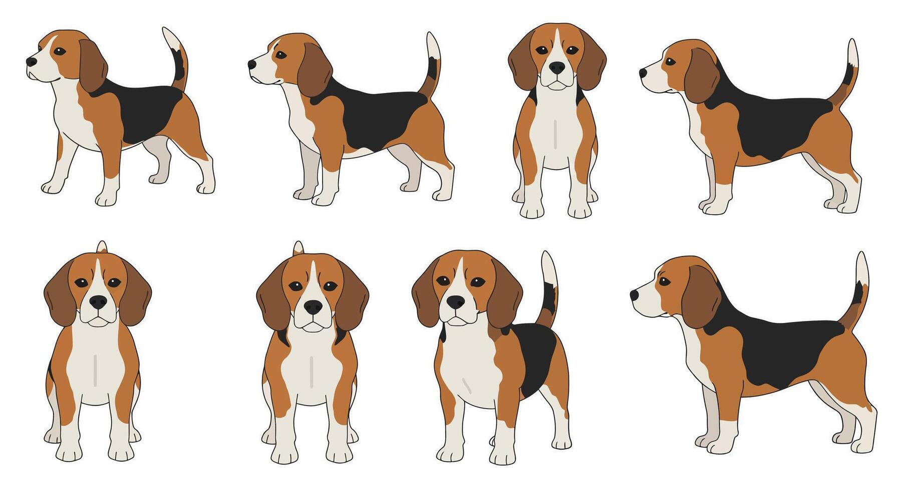Beagle dog character poses in flat minimal art style showcasing playful expressions and body movements illustration vector