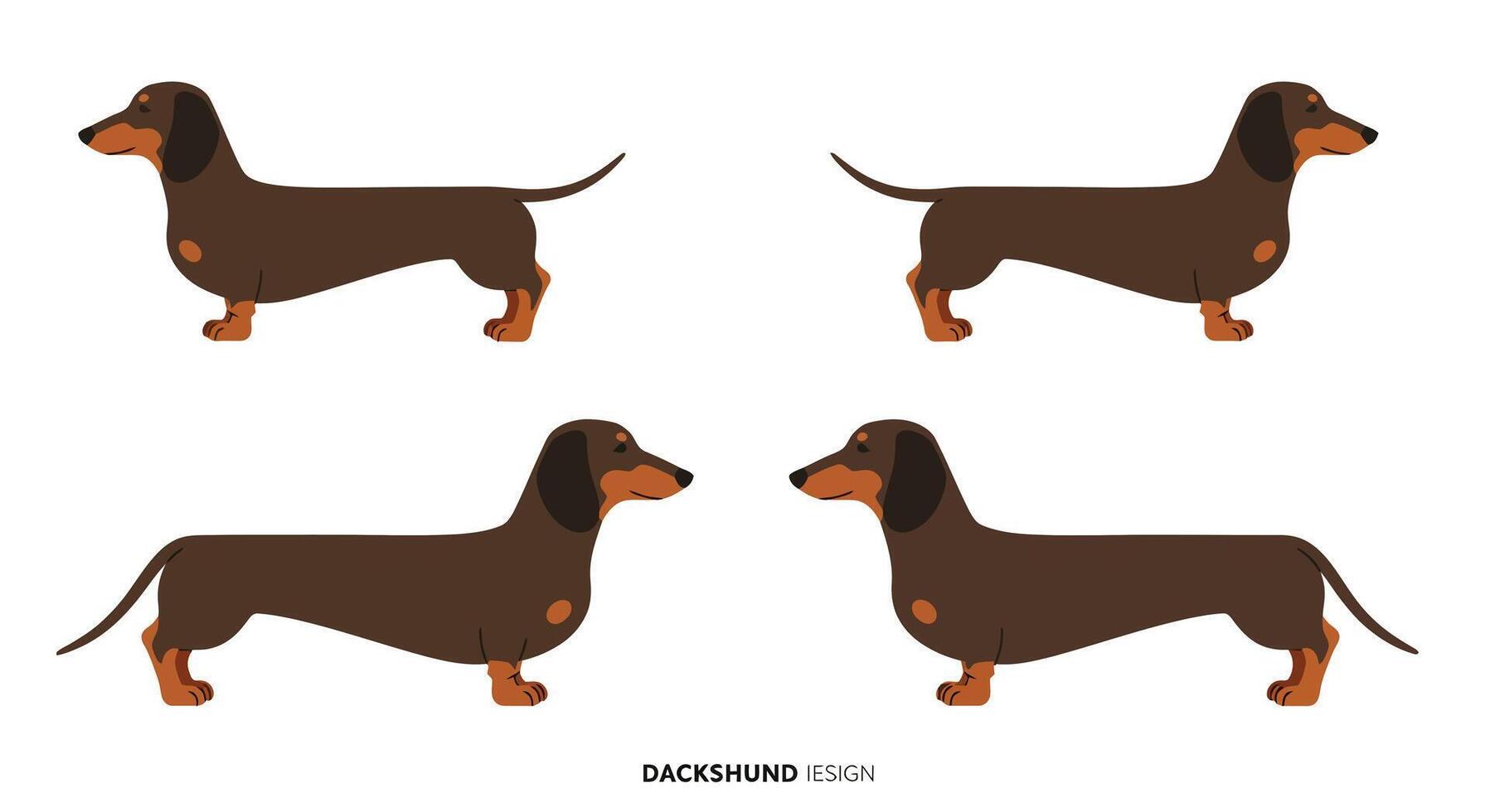 Dachshund dog character design in flat style showcasing movement in illustration vector