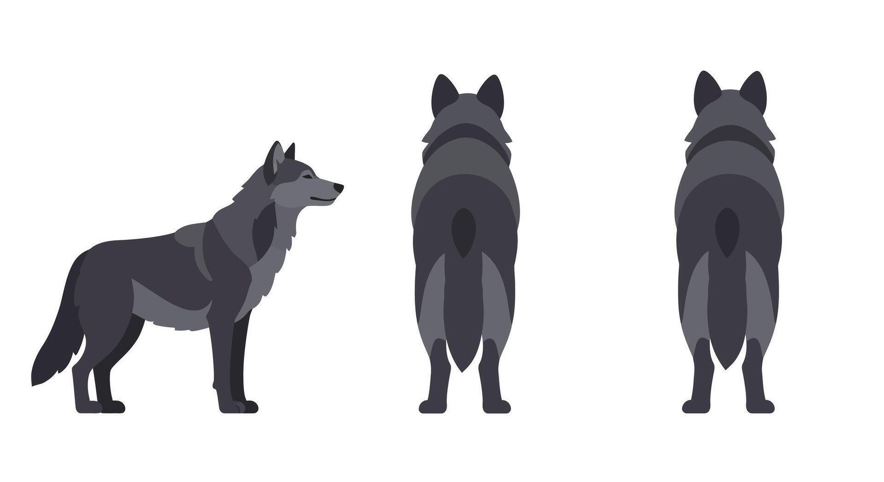 Detailed illustration of a wolf showcasing various angles in flat design style vector