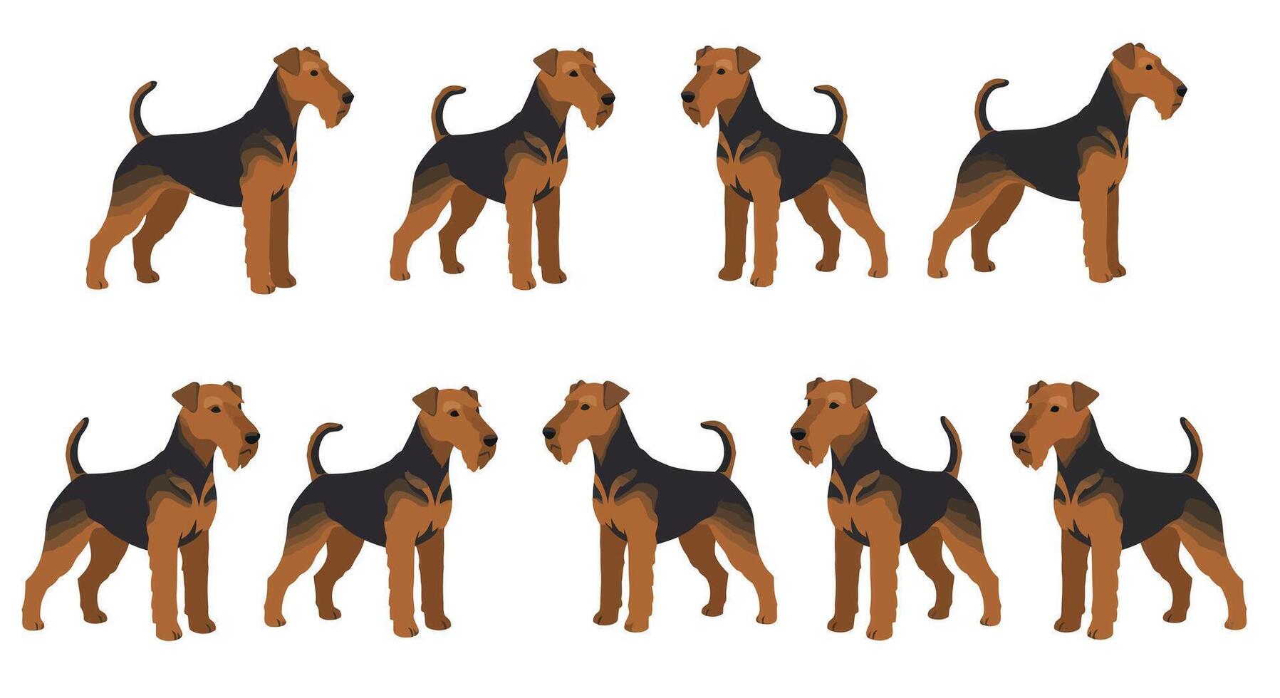 Airedale Terrier dog illustration in flat design style showcasing various poses art vector