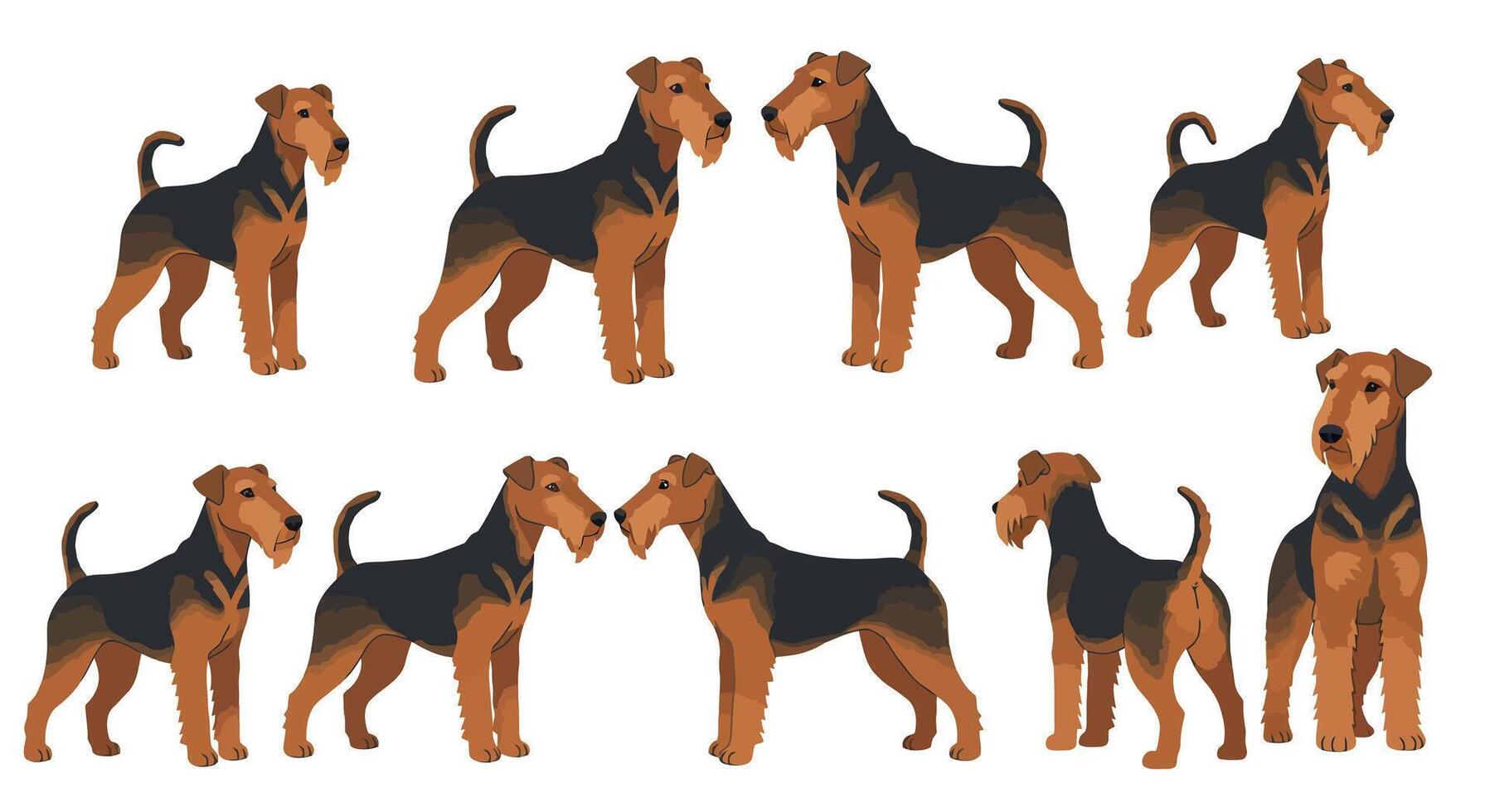 Airedale Terriers in Various Poses Detailed Illustration vector