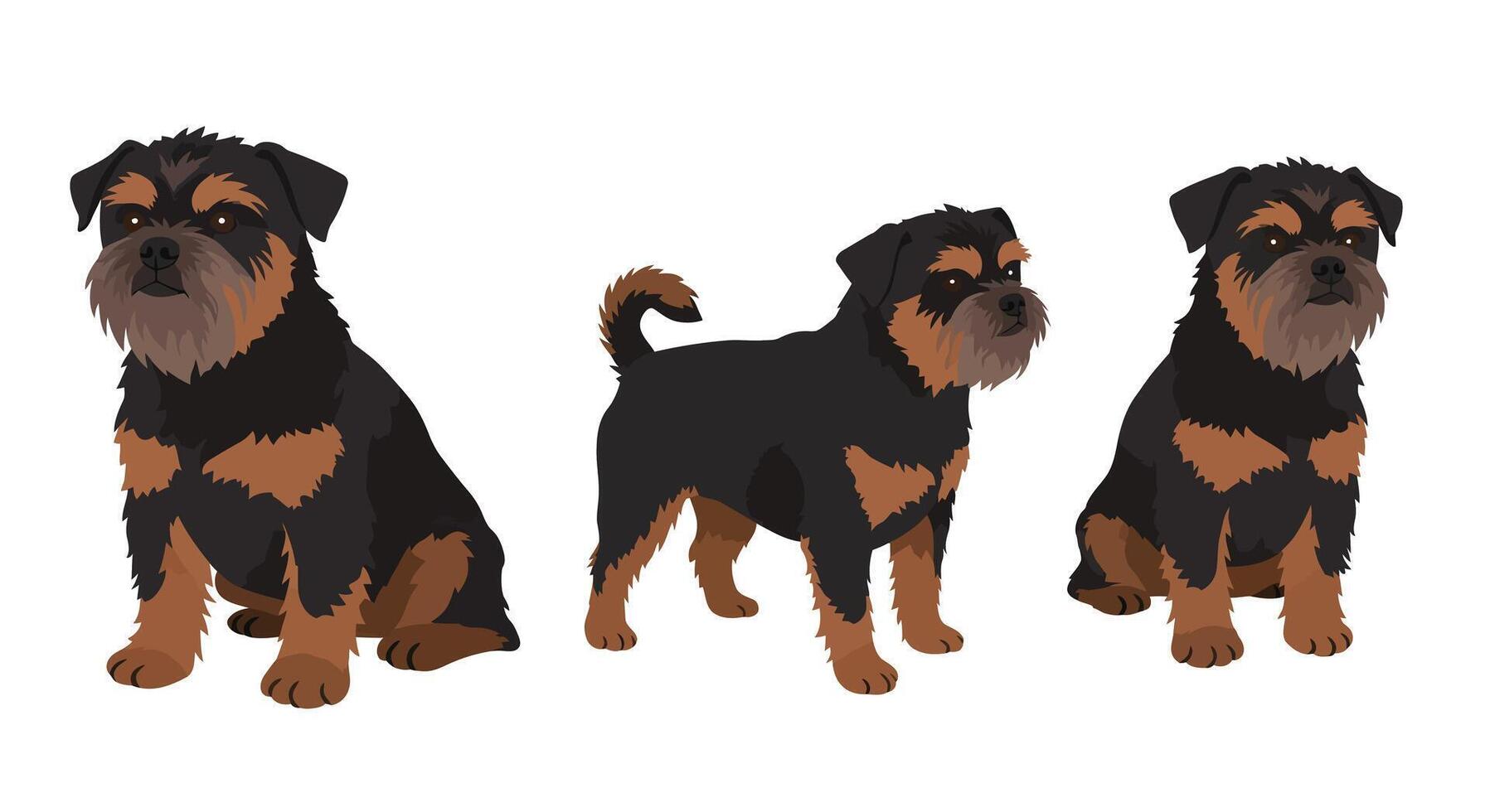 Detailed illustration of dogs in three poses showcasing flat art style vector