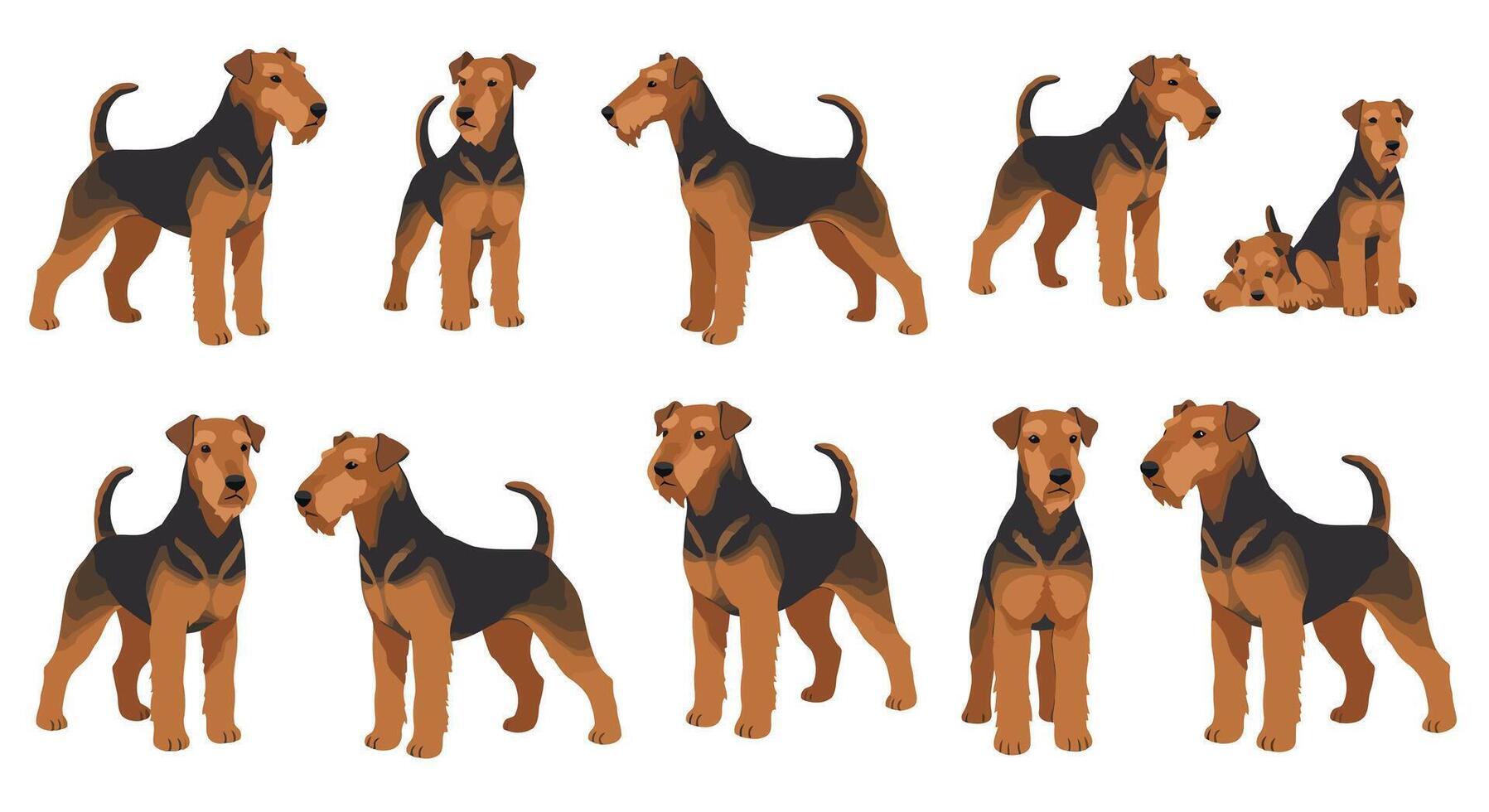 Detailed illustration of playful dogs in various poses and expressions in flat design style vector