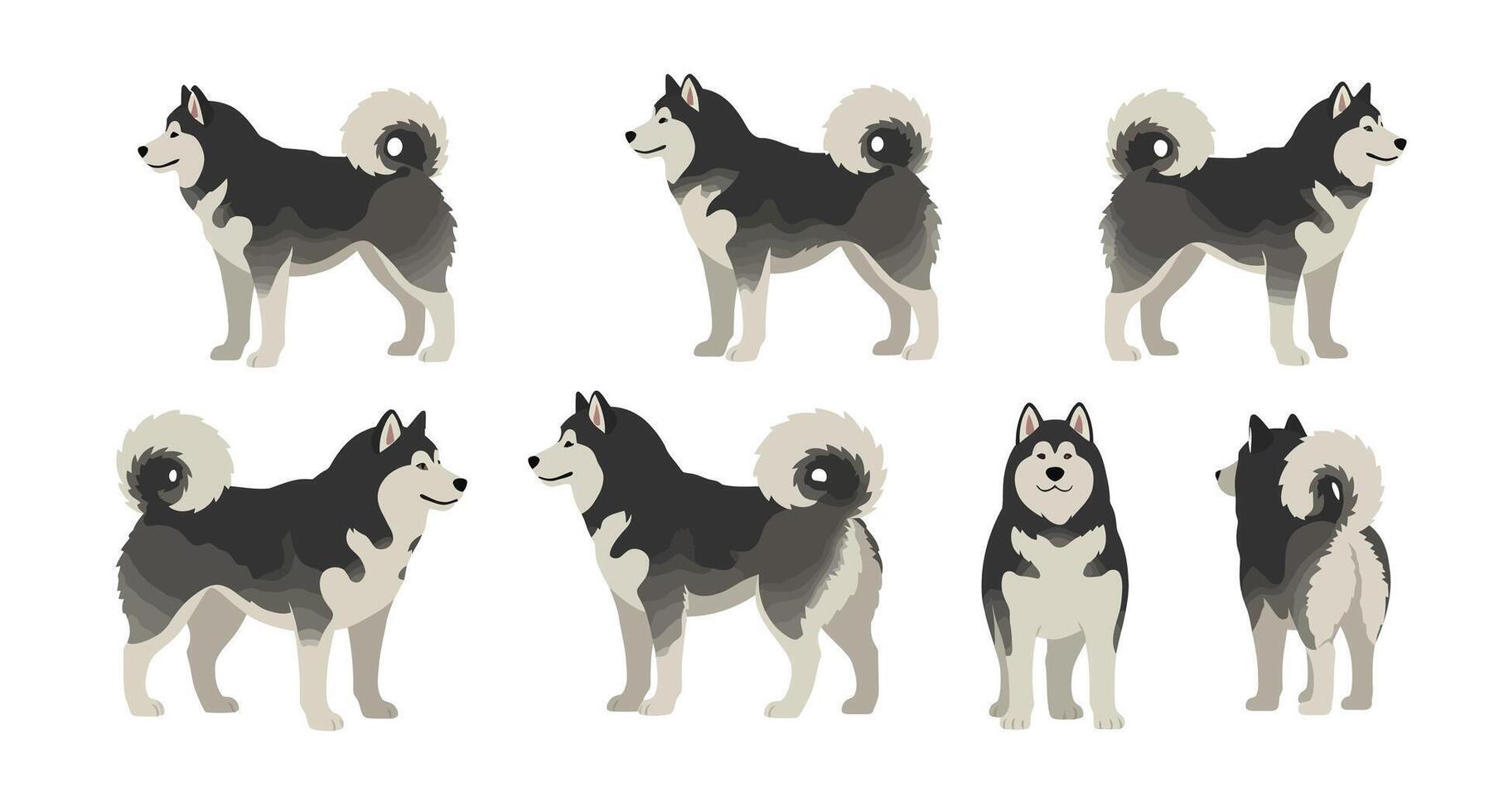 Detailed flat illustration of playful huskies showcasing various poses and expressions in art vector