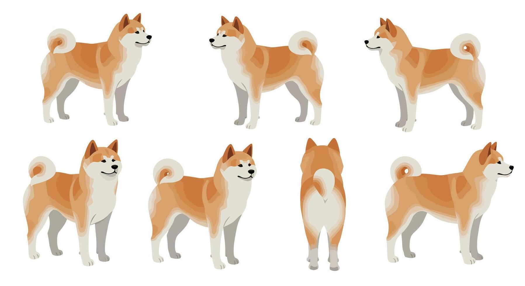 Shiba Inu dog character poses in flat style art illustration vector