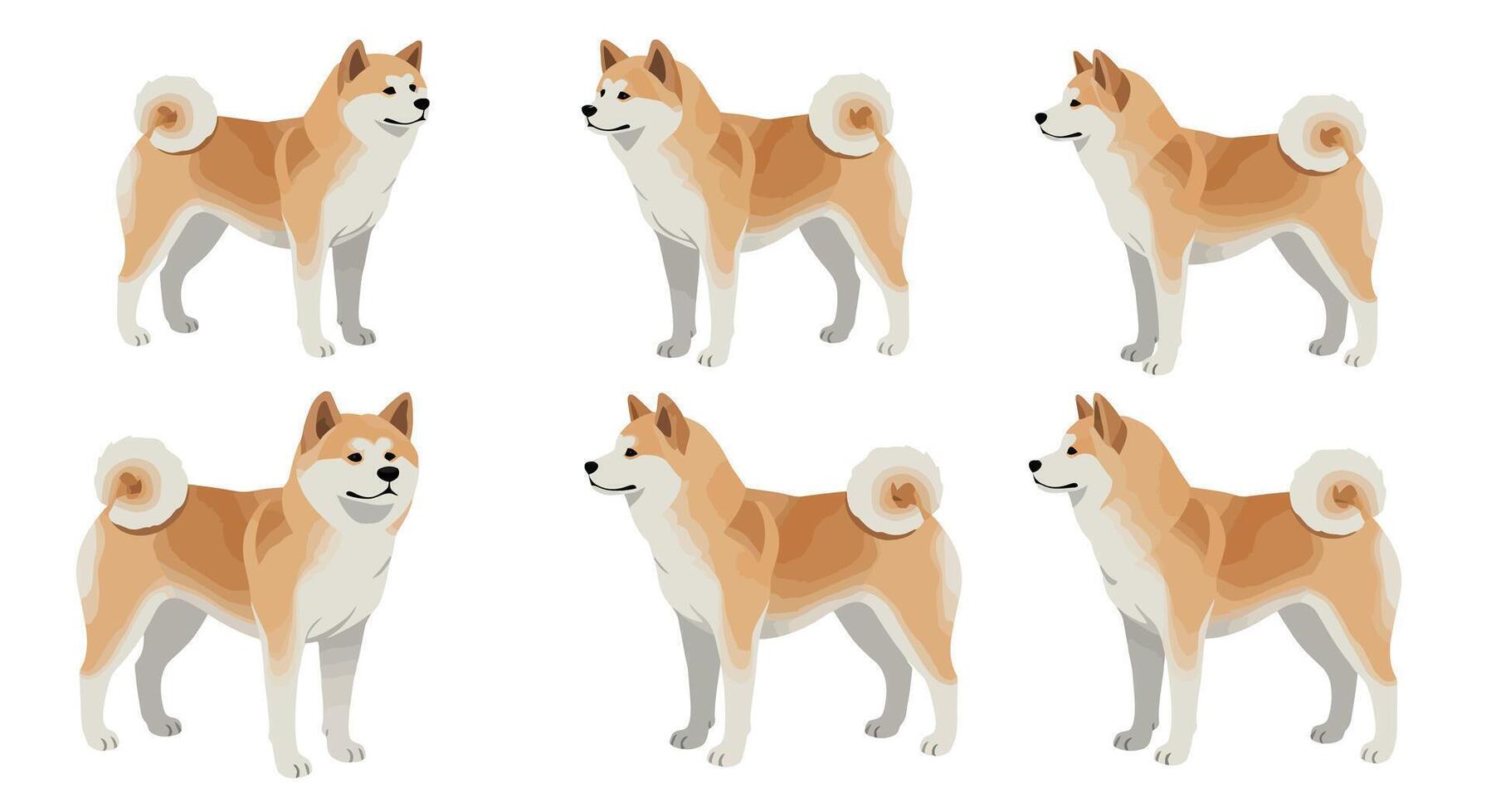 Shiba Inu dog character poses in flat minimal illustration style art vector