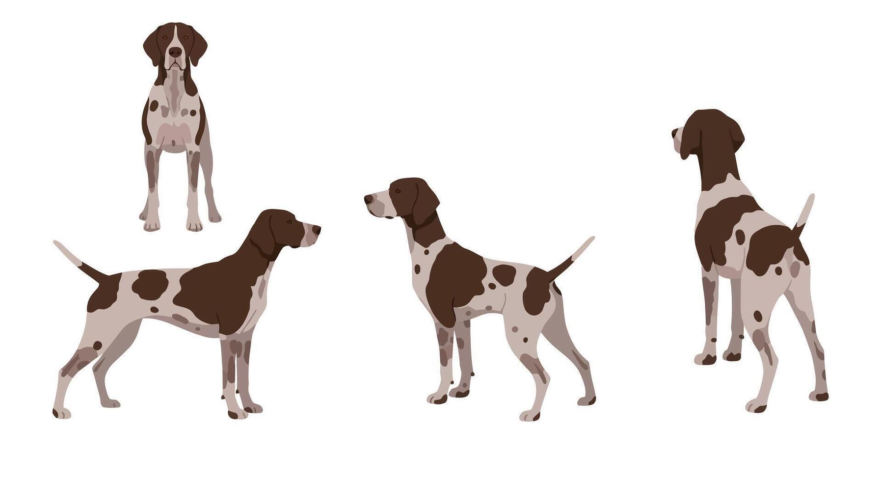 Four distinct poses of a dog in flat art style showcasing playful character and unique features illustration vector