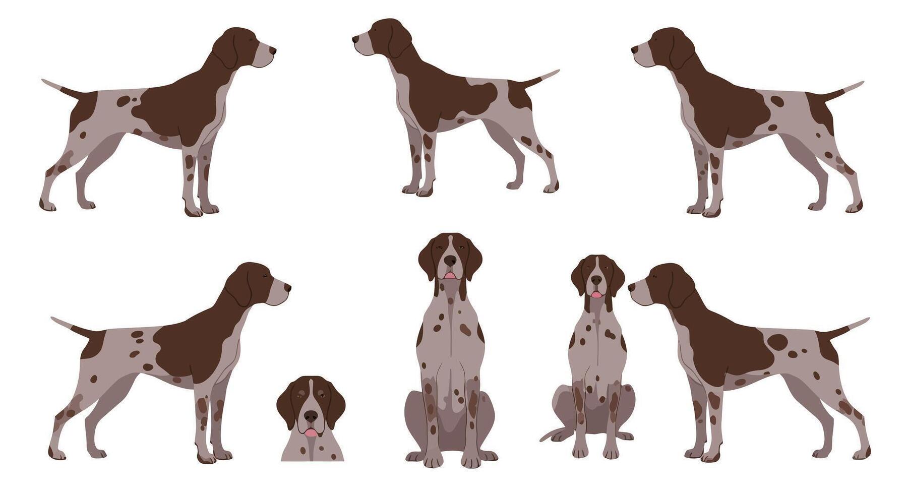 Dog illustration featuring various poses in flat design style art vector