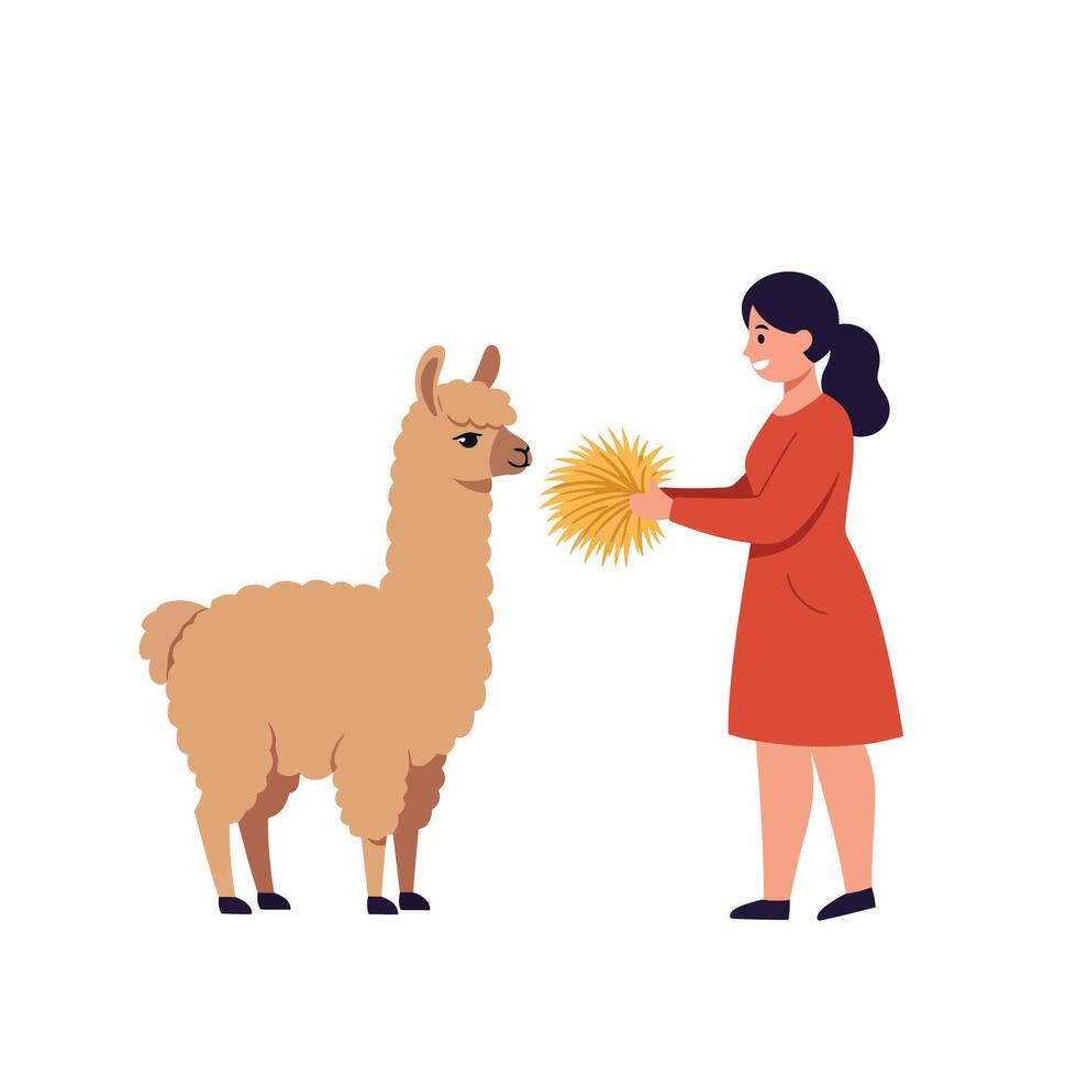 Woman feeding a llama straw in a minimal flat illustration vector