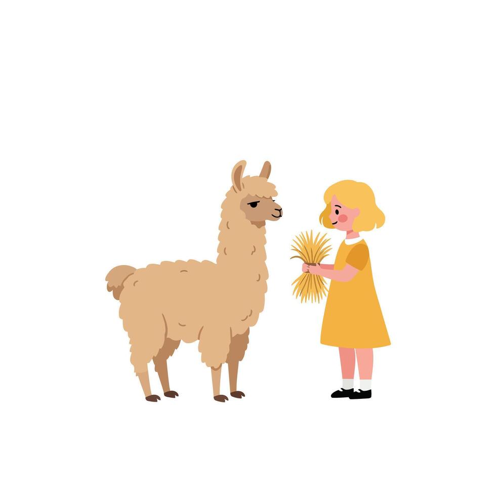 Girl feeding a friendly llama in minimal flat design art vector