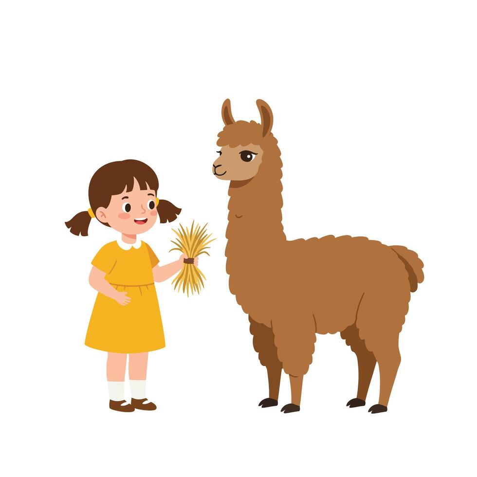 Girl feeding a friendly llama in bright, minimal illustration vector