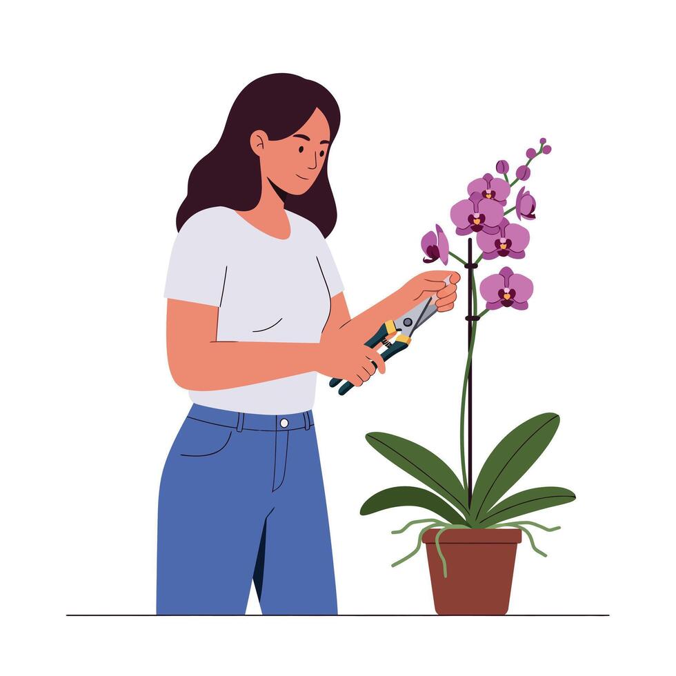 Woman tending to an orchid plant using pruning shears in flat illustration vector