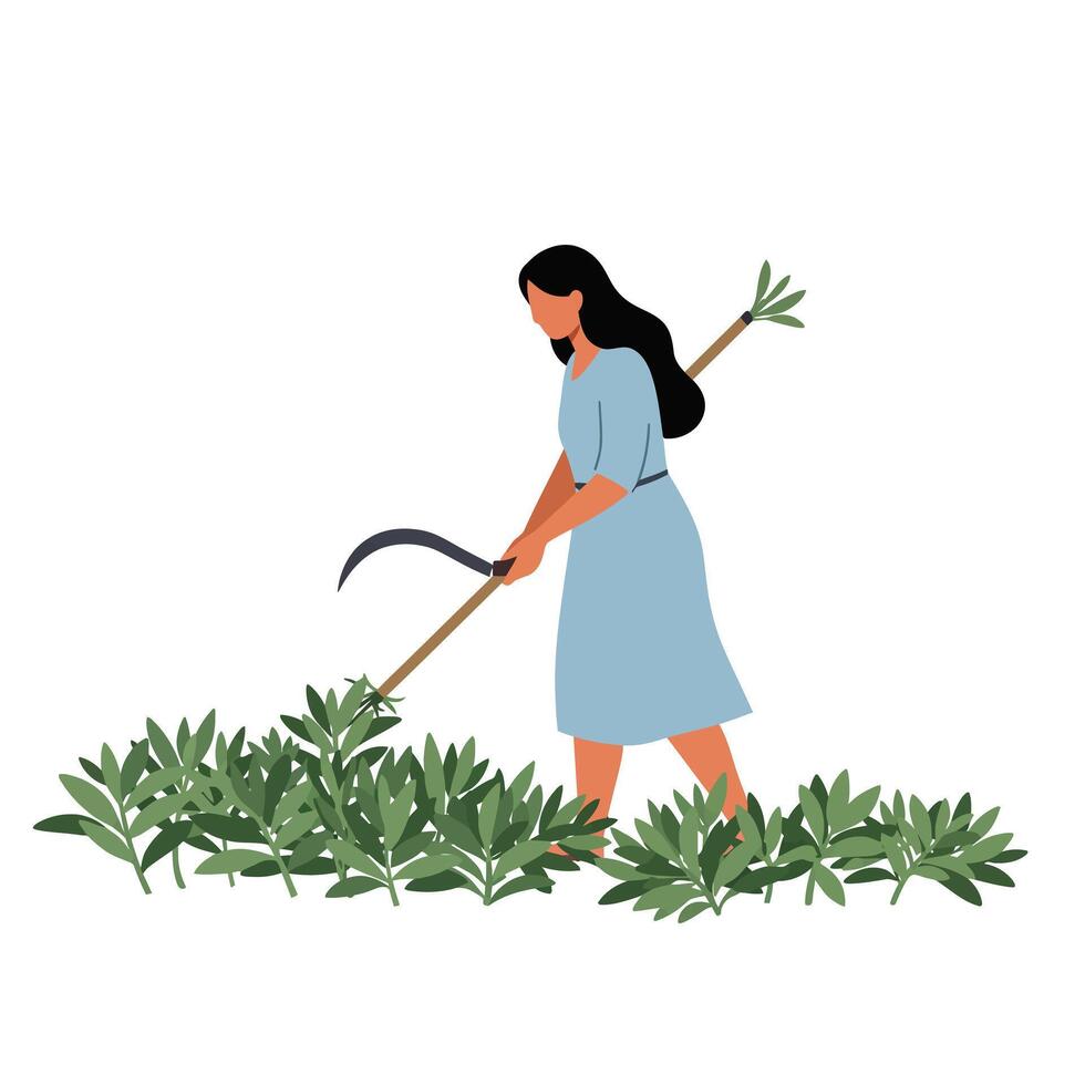 Woman harvesting plants with a scythe in a flat style illustration vector