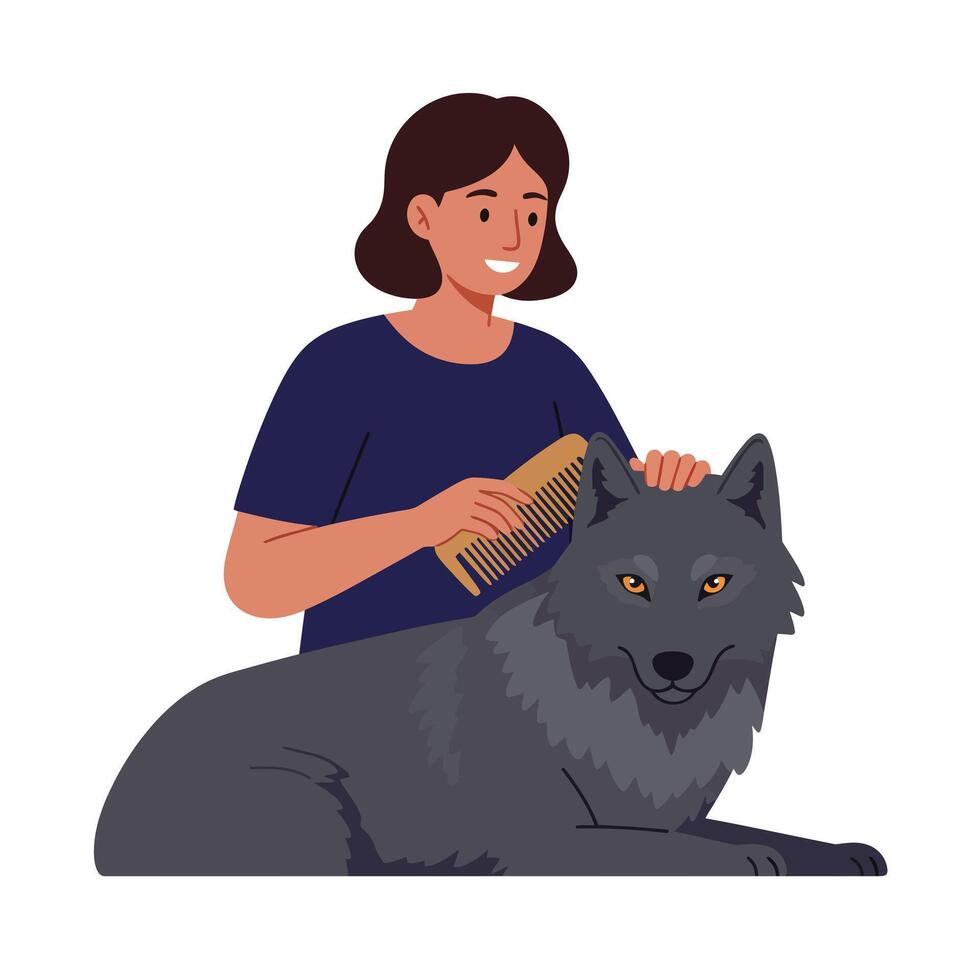 Woman grooming a wolf with a comb in flat illustration vector