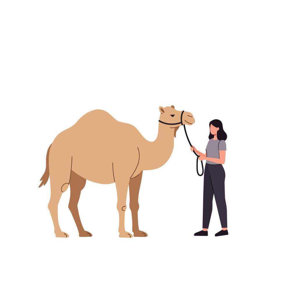 Camel standing beside person in minimal flat art illustration vector