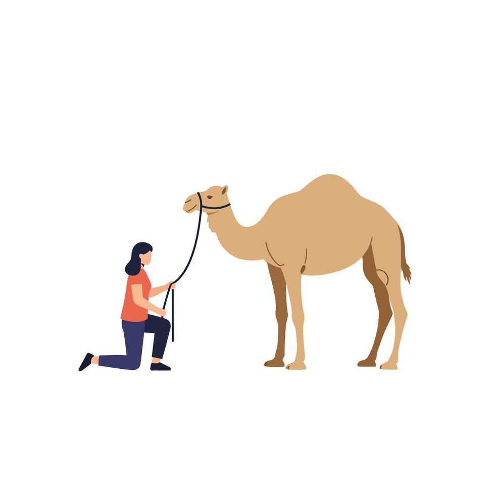 Woman kneeling to hold camels leash in flat art style vector