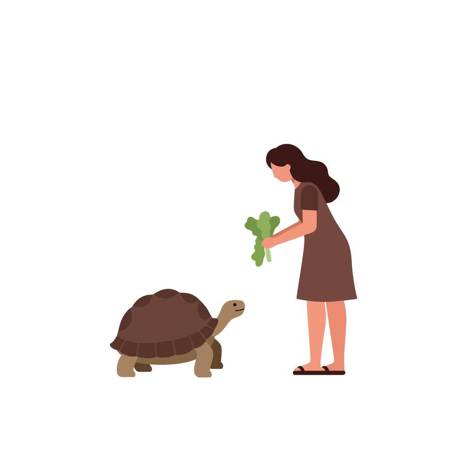Woman feeding a tortoise in a minimal flat design illustration vector