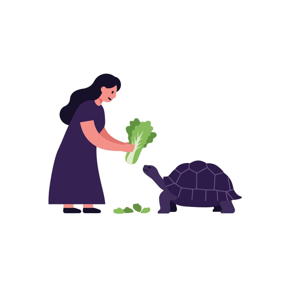Woman feeding a tortoise with lettuce in flat illustration vector