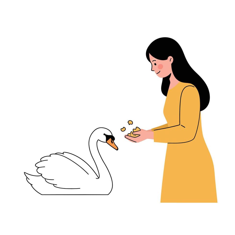 Woman feeding swan in flat minimal illustration style vector