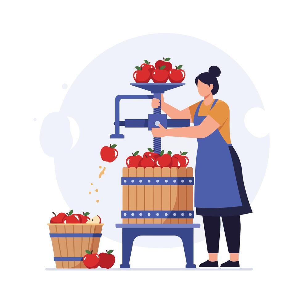 Woman pressing apples in a cider press using flat art illustration vector