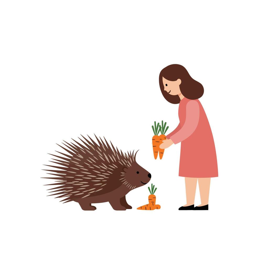 Porcupine receiving carrots from a girl in a flat, minimal art illustration vector