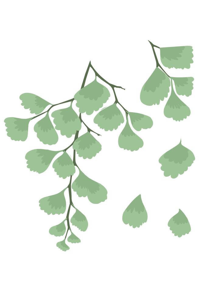 Small green leaves fall from the stalk. Forest Nature wallpaper decoration vector