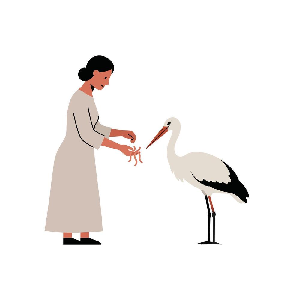 Woman feeding a stork in a minimal flat design illustration vector