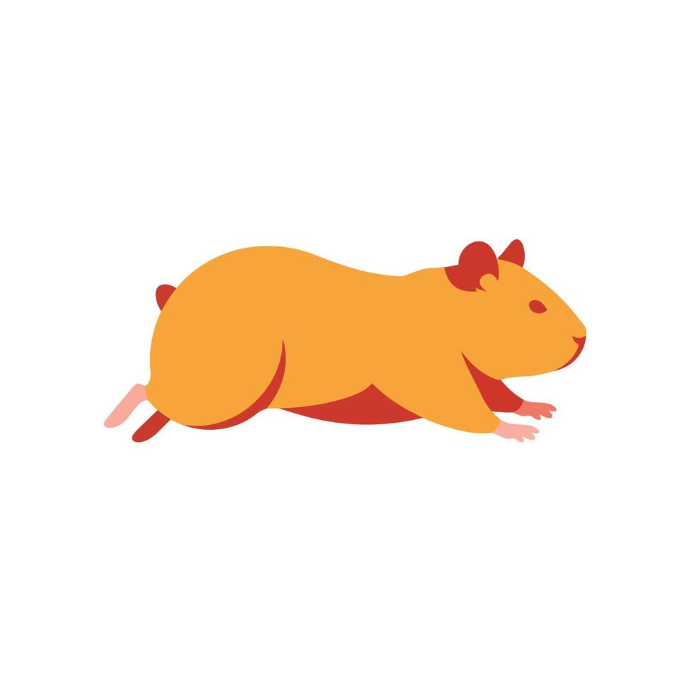 Orange guinea pig in motion with minimal design style illustration vector