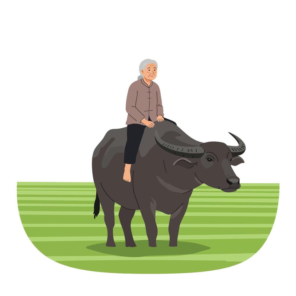 Elderly person riding a water buffalo in minimal illustration style art vector