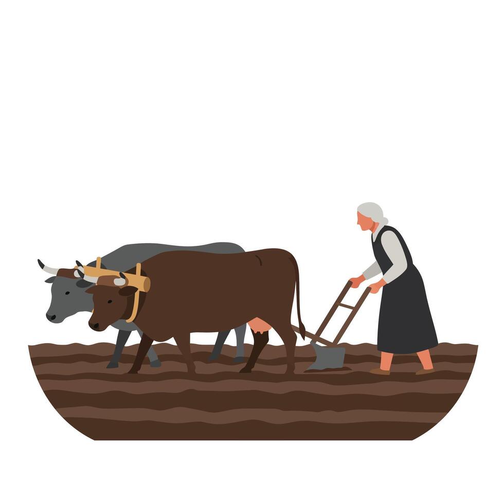 Farmer plowing field with oxen in flat illustration vector