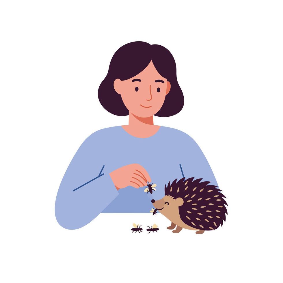 Woman feeding hedgehog with insects in a flat illustration vector
