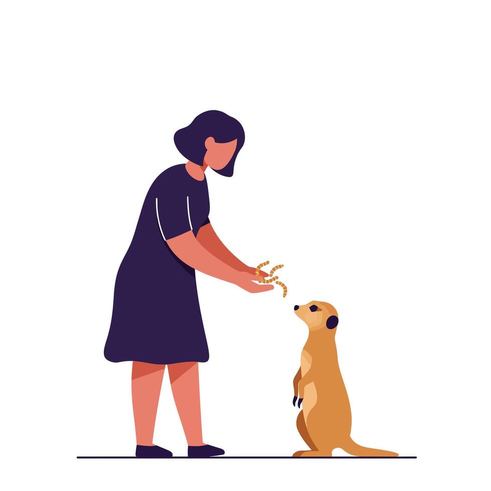 Person feeding a meerkat in flat illustration style showcasing animal interaction and warmth art vector