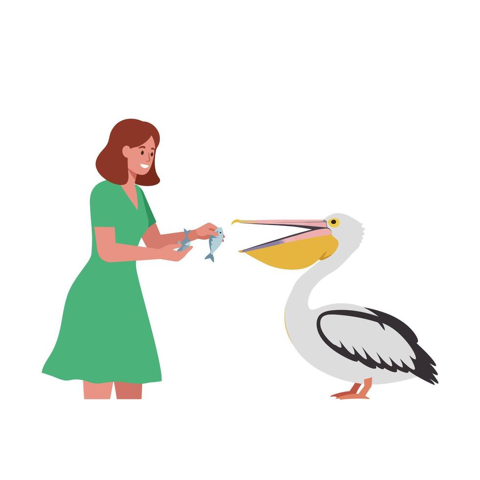 Woman feeding a pelican in a friendly interaction with flat art vector