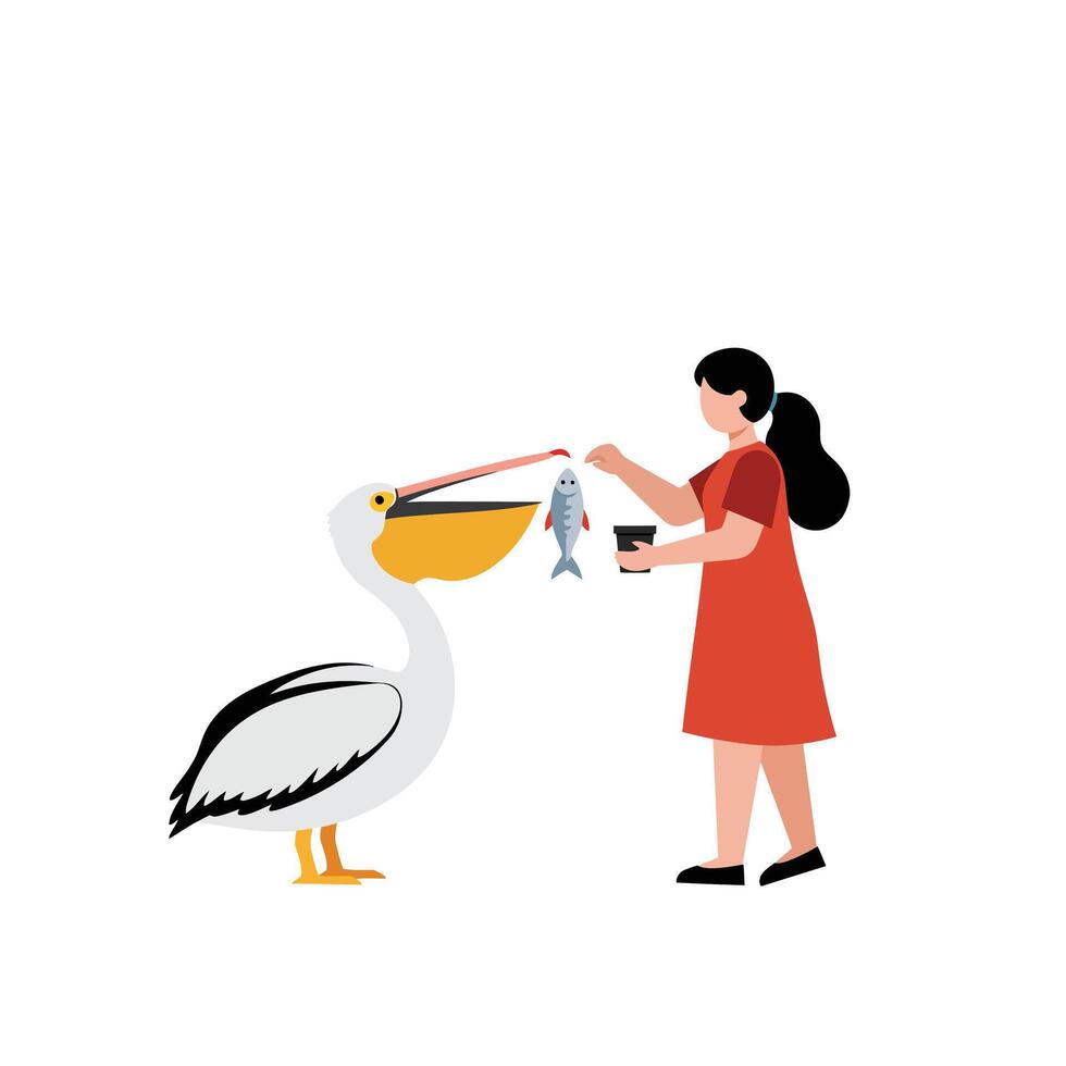 Girl Feeding Pelican with Fish in Minimalist Illustration vector