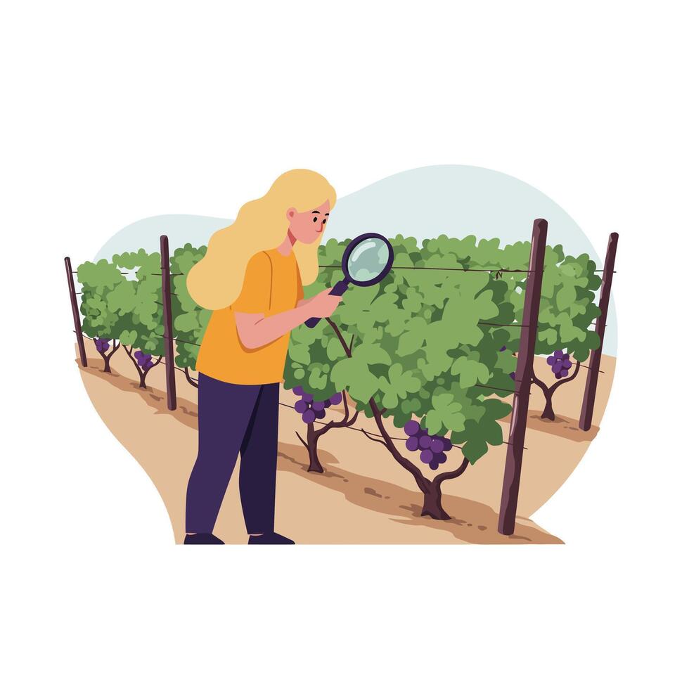 Woman inspecting grapevines in vineyard with flat design style art vector
