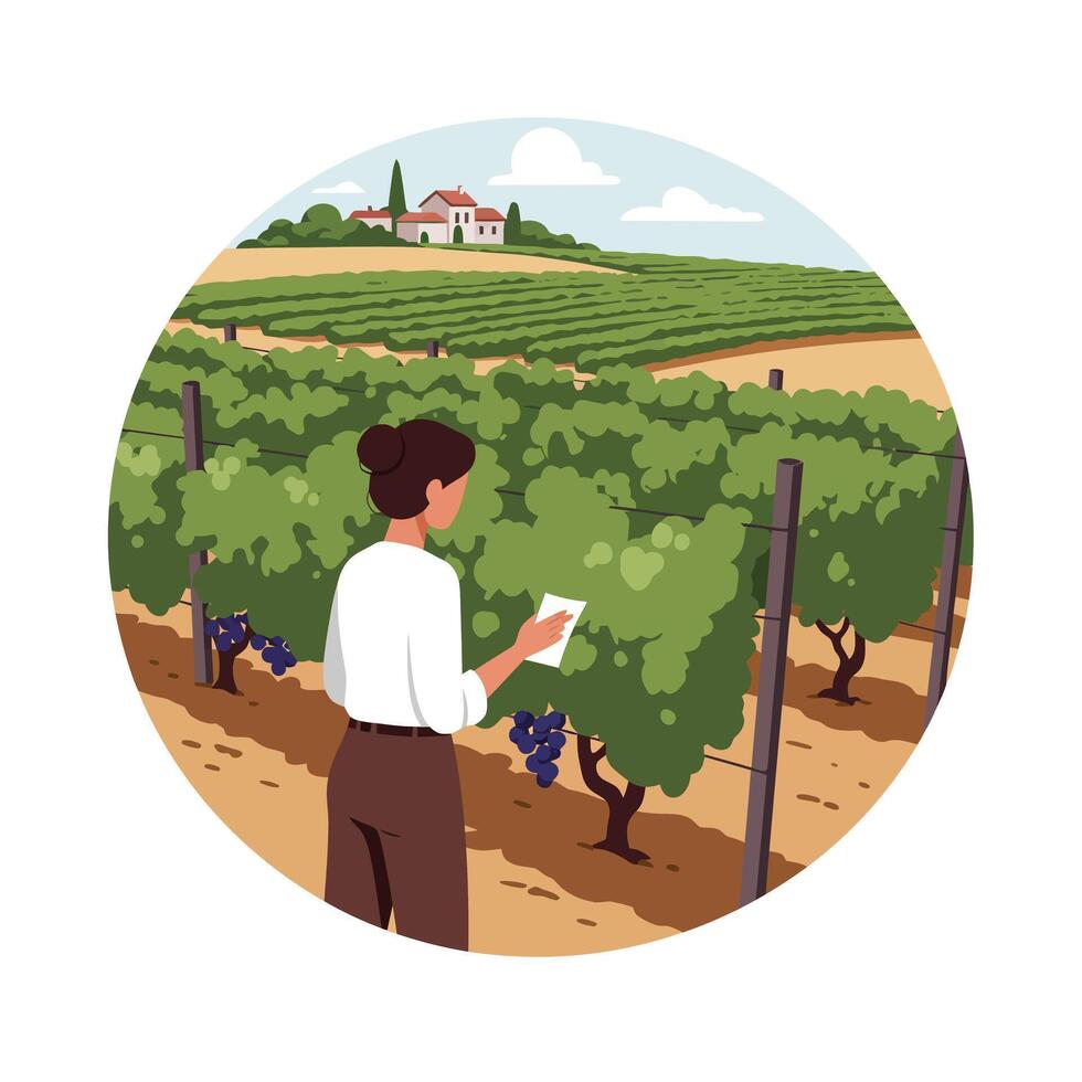 Woman examining grapevines in vineyard scene with flat design style art vector