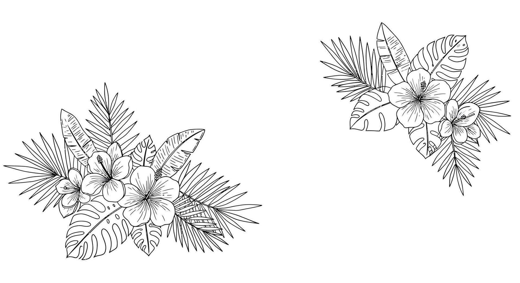 Floral arrangement transition in minimal line art style illustration vector