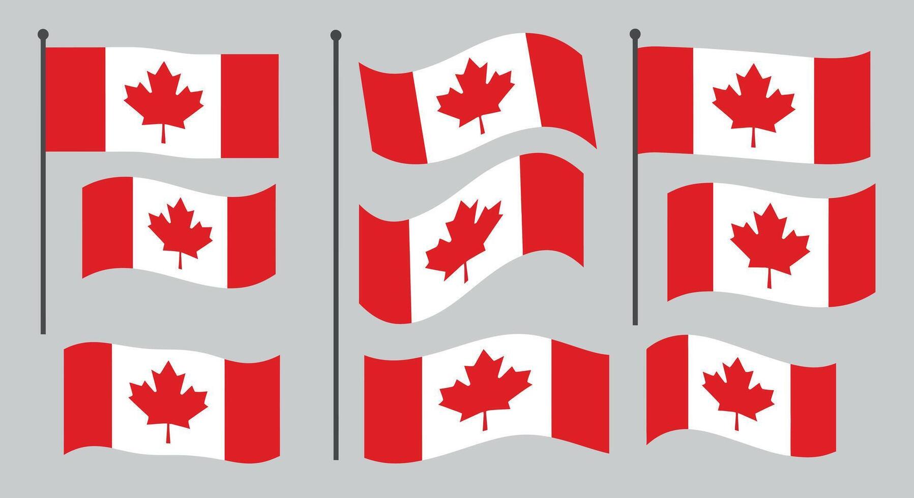 Canadian flags in various positions designed in a flat illustration style vector