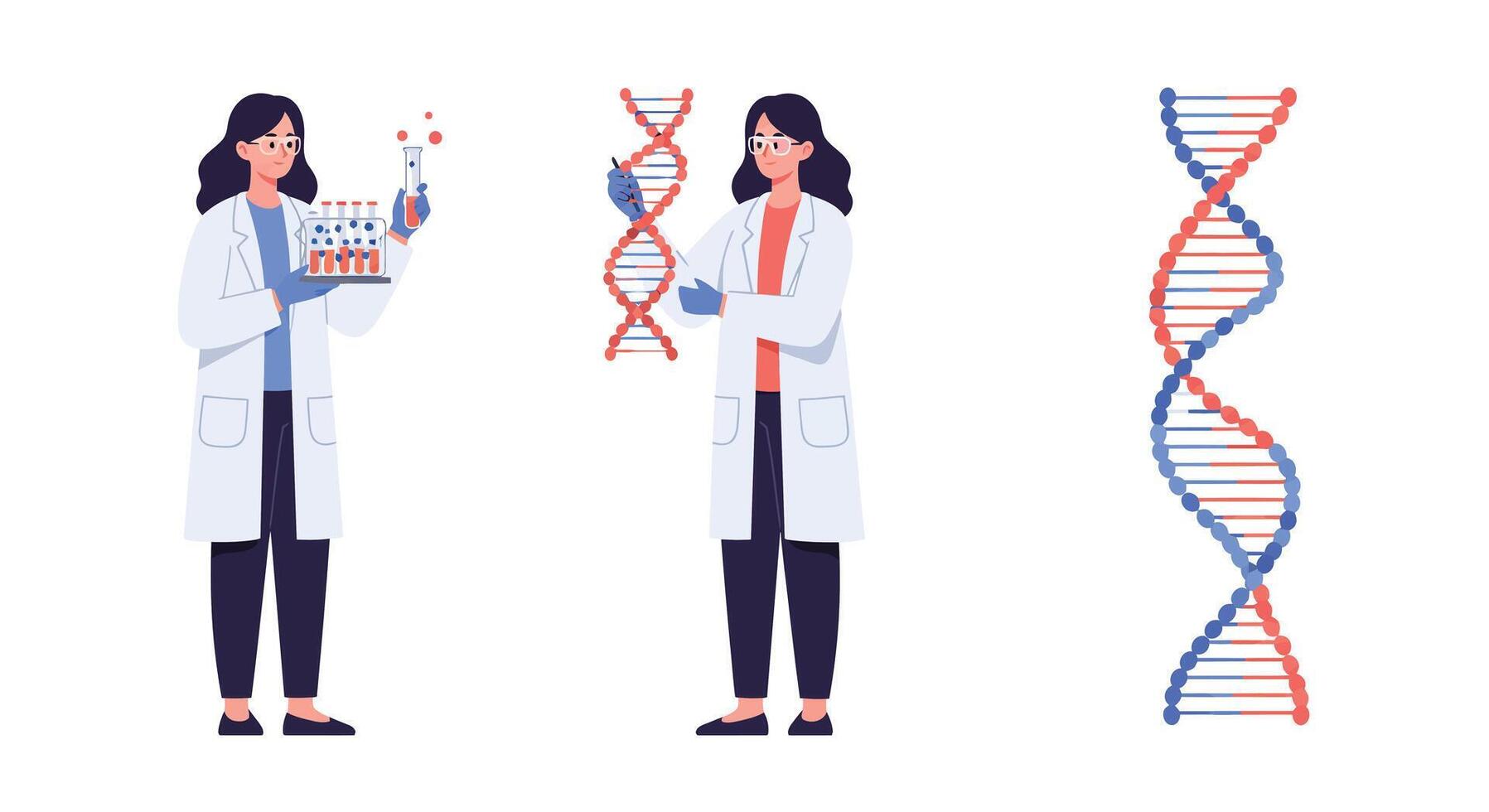 Scientist holding lab equipment transitions to displaying DNA strand in flat illustration vector