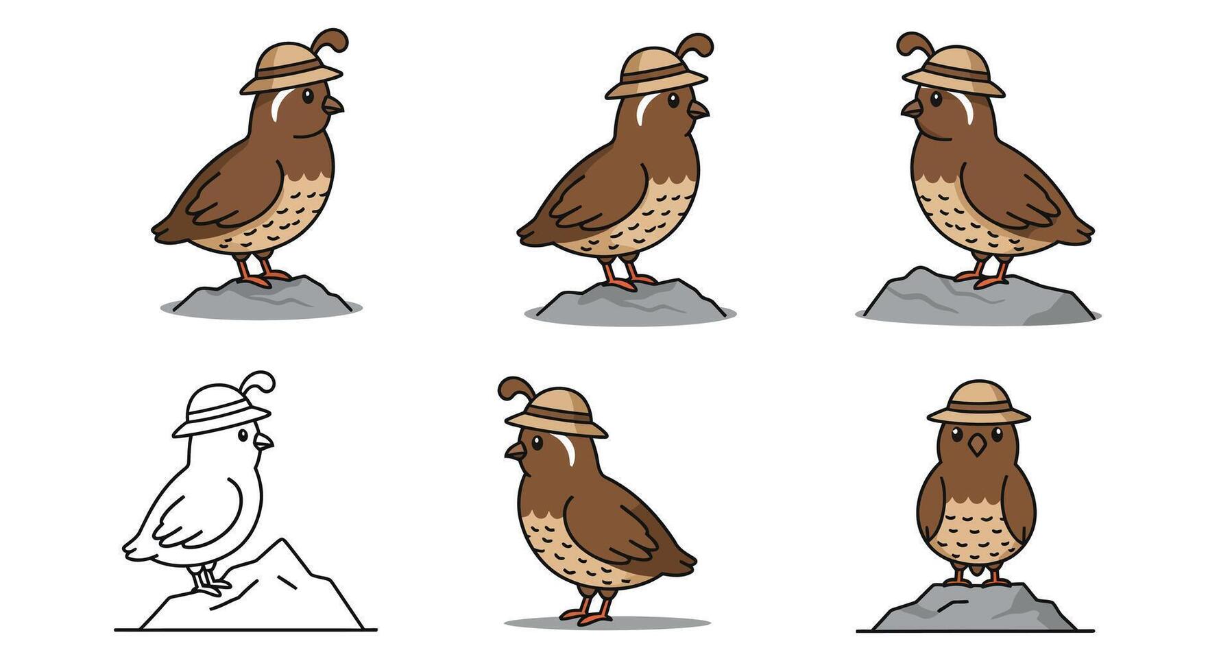 Cute owl character transformation in minimal flat design illustration vector