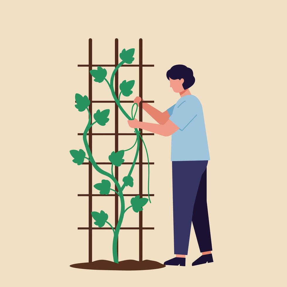 Person tending to climbing plants in a minimal flat illustration vector