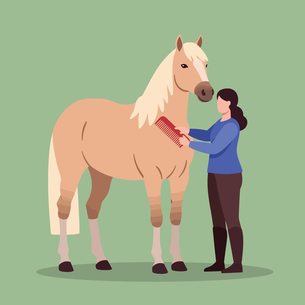 Woman grooming a horse in flat style art vector