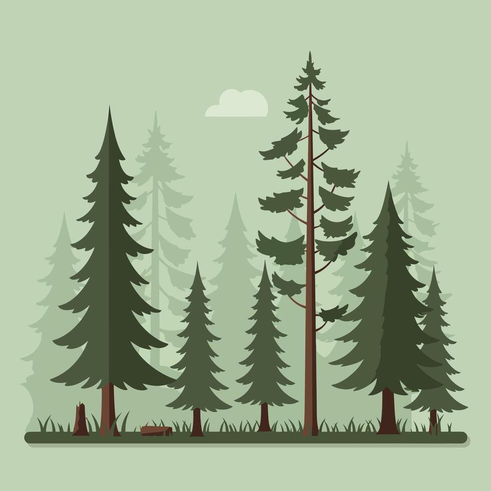 Tall evergreen trees in a serene landscape with flat art style illustration vector