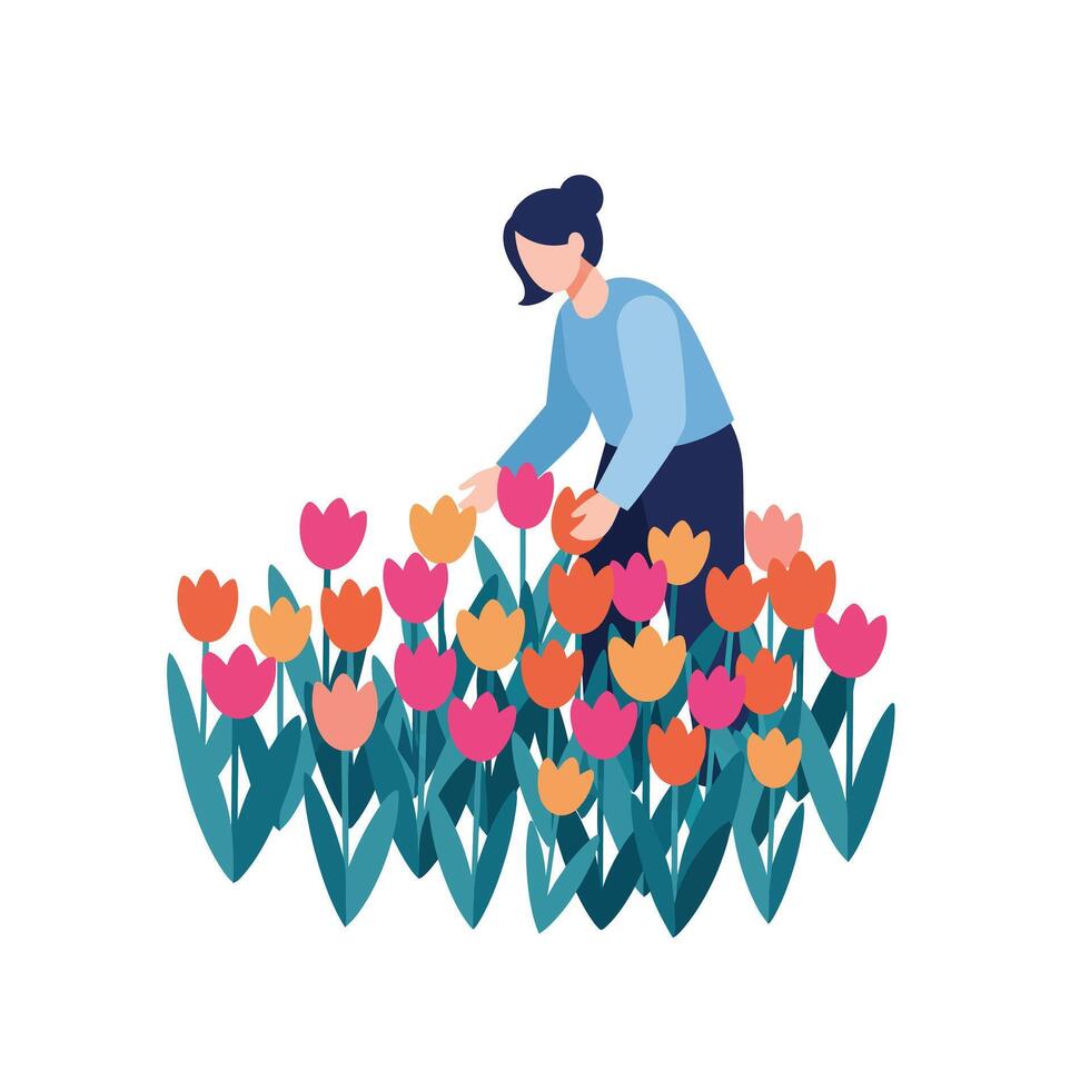 Woman tending to vibrant tulip garden in flat art style illustration vector