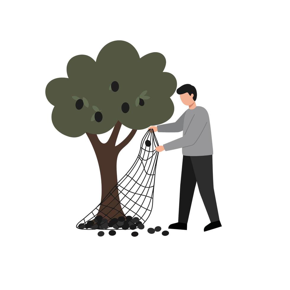 Man collecting fruits from tree using net in flat art vector