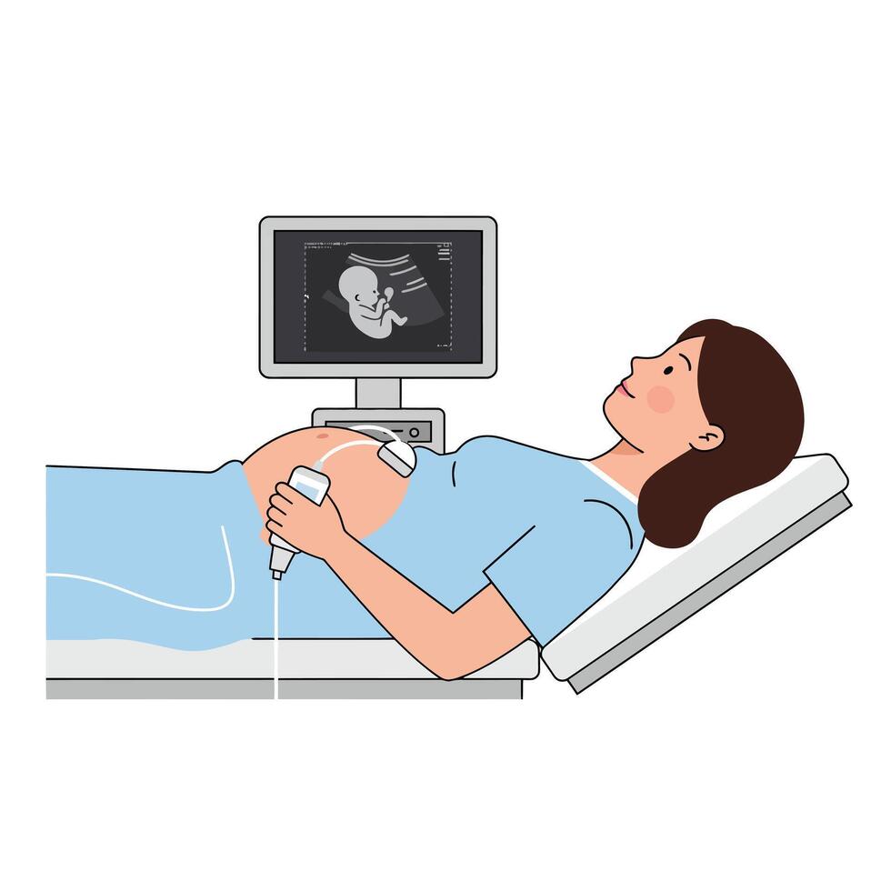 Expecting mother during ultrasound examination in flat art vector