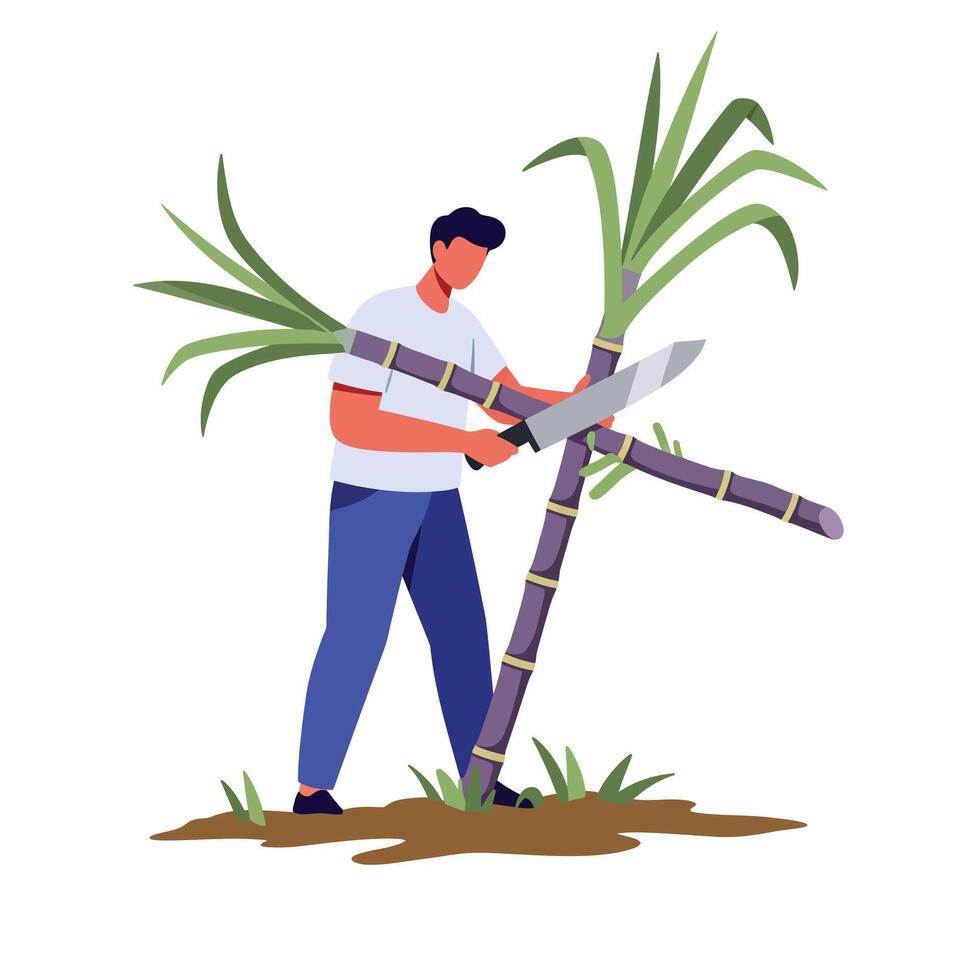 Man harvesting sugarcane with a machete in flat art style vector