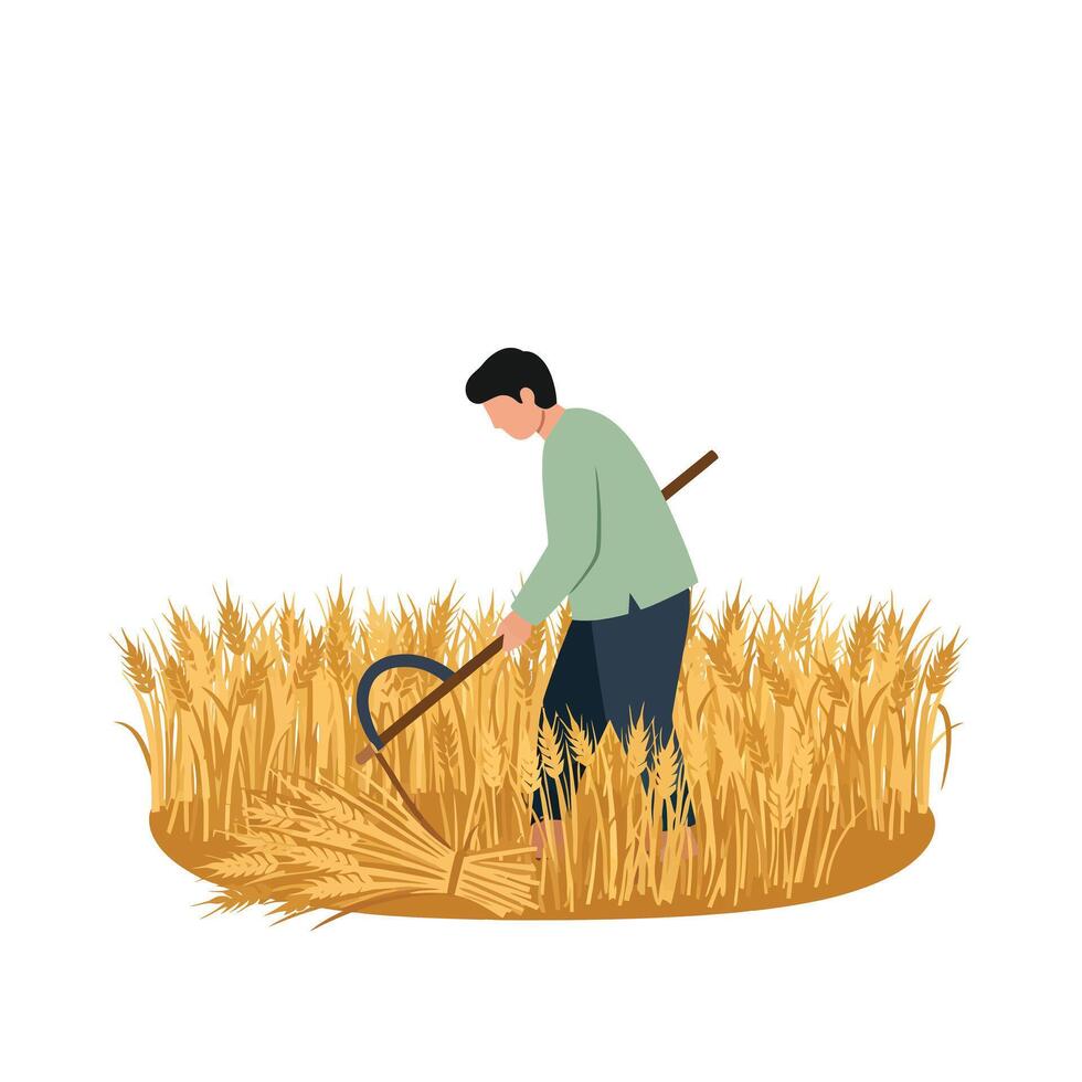 Farmer harvesting wheat using a scythe in a flat art style illustration vector