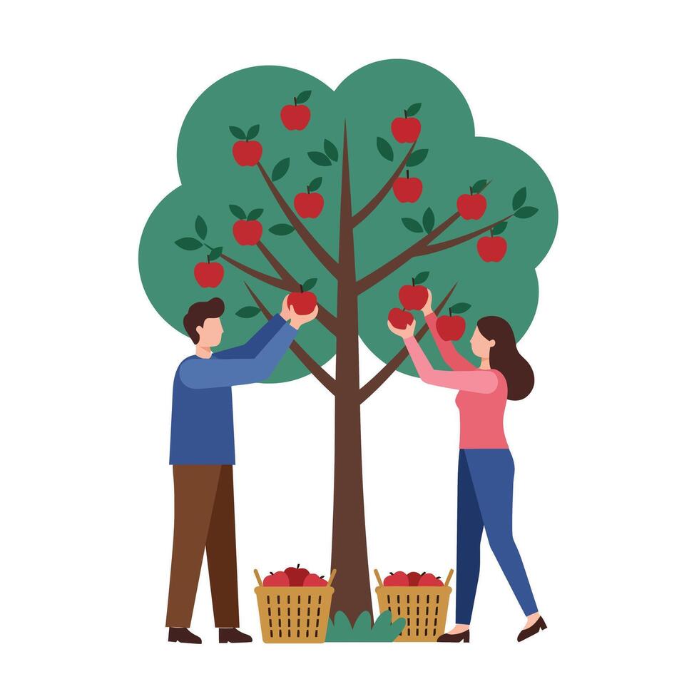 Two People Picking Apples from a Tree in Flat Art Style vector